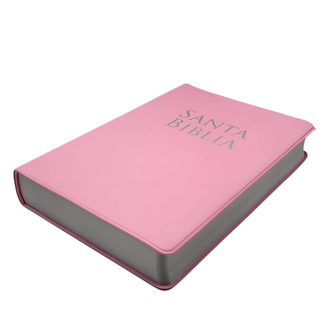 Biblia Tamaño Manual Letra Grande Vinilo - Rosa - RVR1960 - Imagen 2