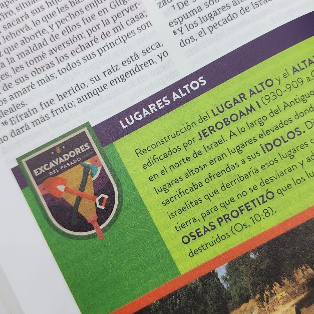 Biblia para Niños Exploradores – Multicolor Tapa Dura – RVR1960 - Imagen 7