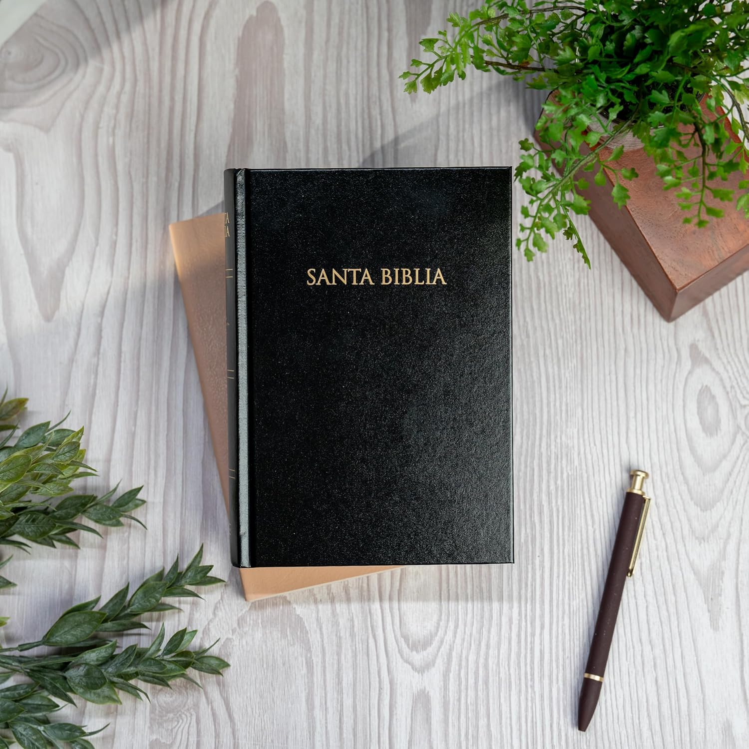Biblia para Regalos y Premios – Negro – RVR1960 - Imagen 4