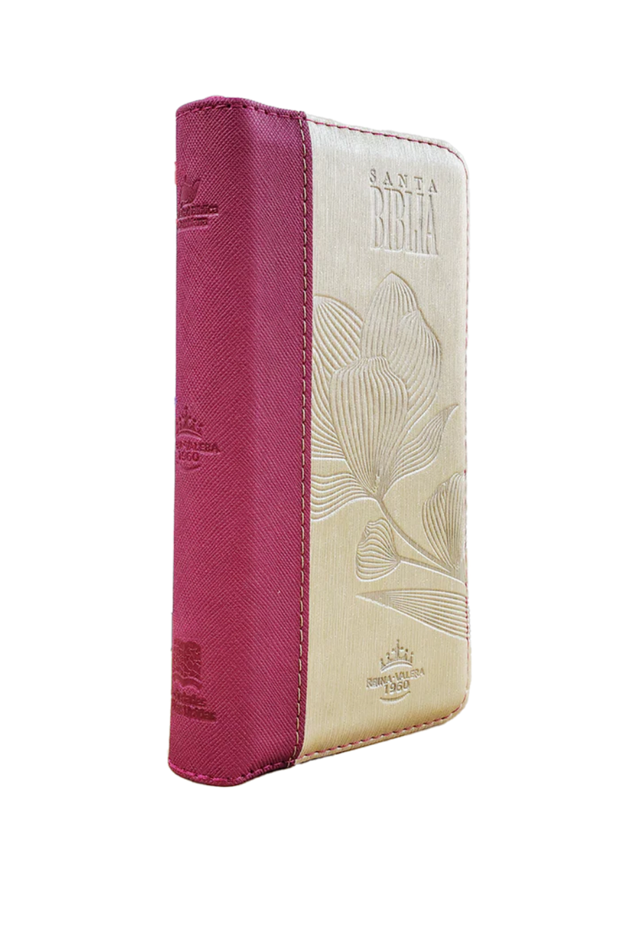 Biblia Tipo Cartera con Índice RVR 1960 Color Magenta Beige Canto Dorado con Ayudas y Códigos QR - Imagen 4