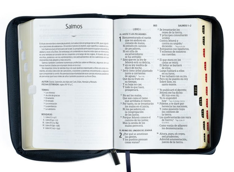 Biblia Tamaño Manual Letra Gigante con Índice y Cierre – Azul Símil Piel – RVR1960 - Imagen 4
