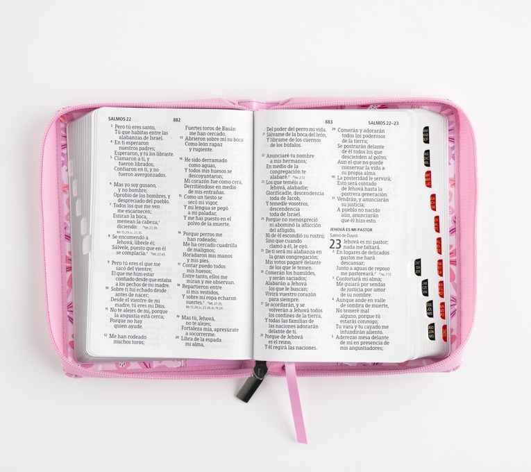 Biblia Letra Grande Compacta Edición Limitada con Índice y Cierre – Rosa Floral Símil Piel – RVR1960 - Imagen 4