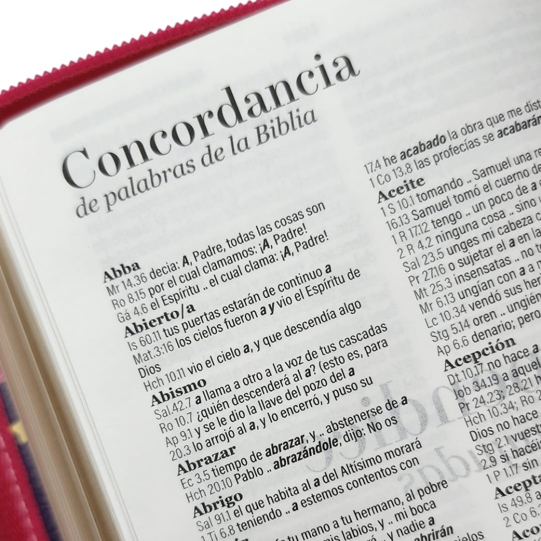 Biblia 025 Primor – Rosa/Rosa Ladybug – RVR1960 - Imagen 3
