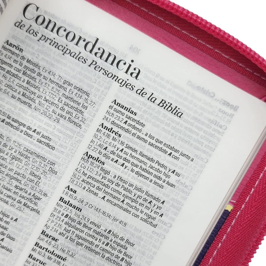 Biblia 025 Primor – Rosa/Rosa Ladybug – RVR1960 - Imagen 5