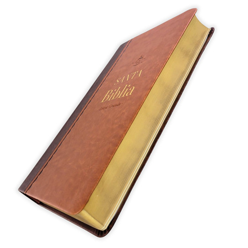 Biblia Obsequios y Premios Letra Grande – Café Refinado – RVR1960 - Imagen 6