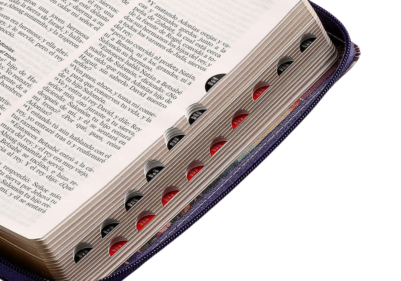 Biblia Letra Grande con Índice y Cierre - Lila/Fantasía/Morado Símil Piel - RVR1960 - Imagen 2