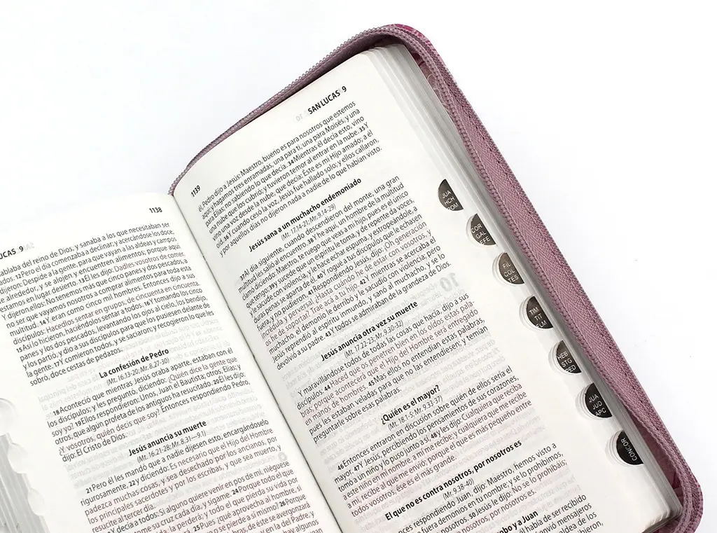 Biblia Tipo Cartera con Índice RVR 1960 Rosas/Rosa Canto Plateado con Ayudas y Códigos QR - Imagen 3