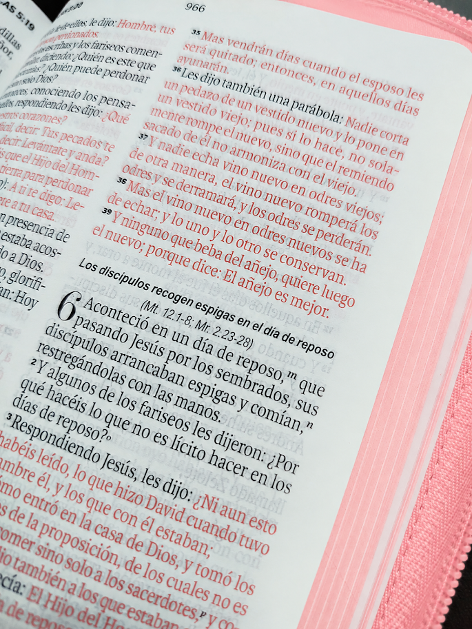 Biblia Obsequios y Premios Letra Grande con Cierre – Rosa Floral – RVR1960 - Imagen 2